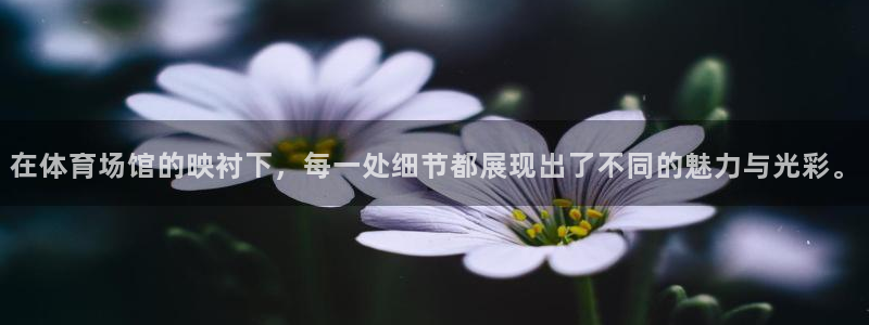 尊龙凯时ag旗舰