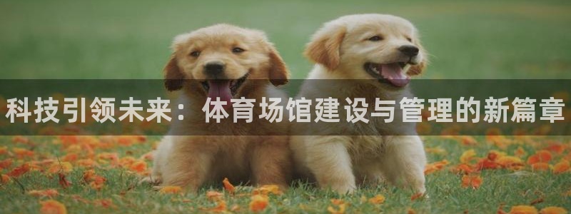 Z6尊龙凯时官方