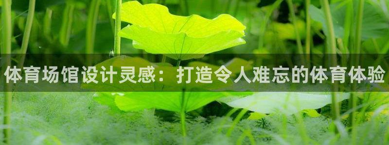 d88尊龙官网手机app：体育场馆设计灵感：打造令人难忘的体